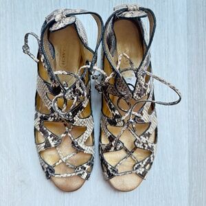 Coach Snakeskin Sandals-Size 6